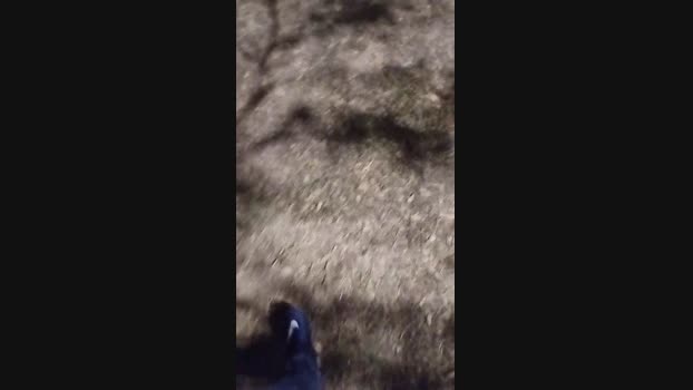 Chocolatespzn2
