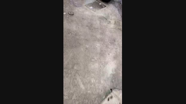Sexyshark994  18-08-2023 Recorded Video squirt