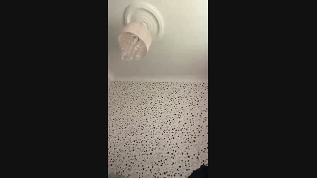 kevdonno  18-08-2023 Recorded Video fuckher