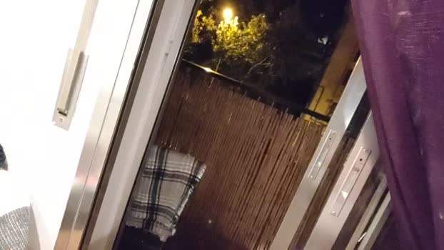 neonpup  17-08-2023 Recorded Video kissing