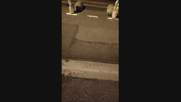 polaands  17-08-2023 Recorded Video naked