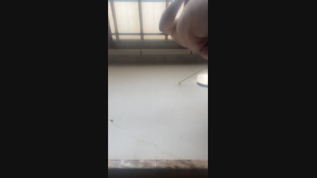 chikaoku  18-08-2023 Recorded Video suck
