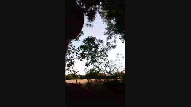 fischer2561  18-08-2023 Recorded Video deep