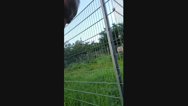 Socke72  19-08-2023 Recorded Video sweet