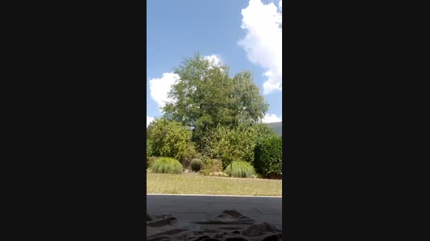 Grosse0163  21-08-2023 Recorded Video prettyface