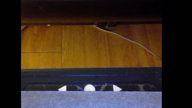 bothu0hi  21-08-2023 Recorded Video Webcam