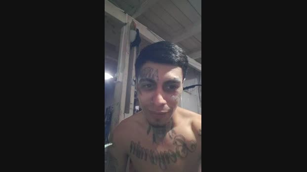 Tattoolife  21-08-2023 Recorded Video bigcock