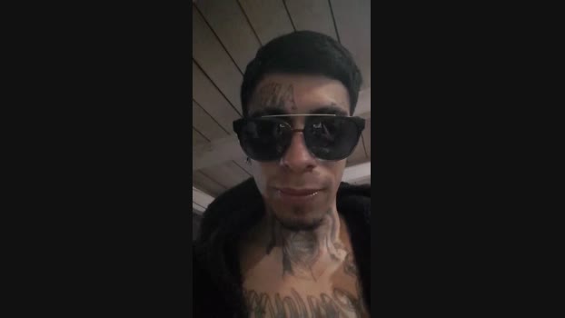 Tattoolife  22-08-2023 Recorded Video spank