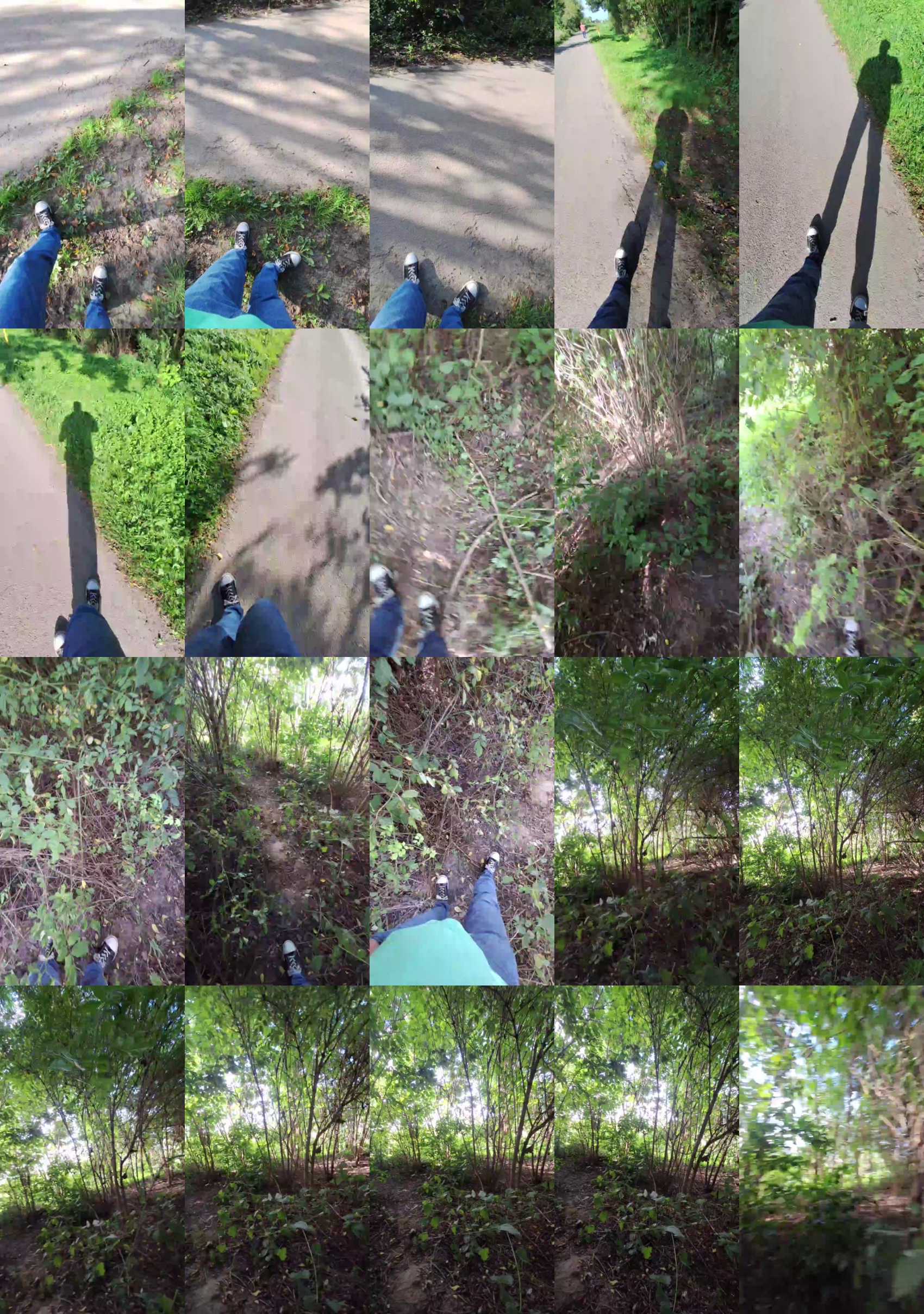 widder35  22-08-2023 Recorded Video bigcock