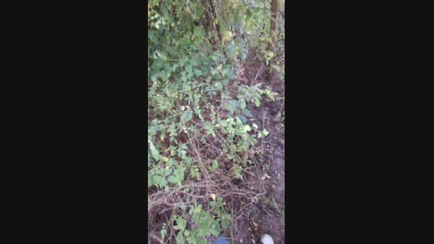 widder35  22-08-2023 Recorded Video bigcock