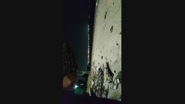 Baixinhobrasil  22-08-2023 Recorded Video Topless