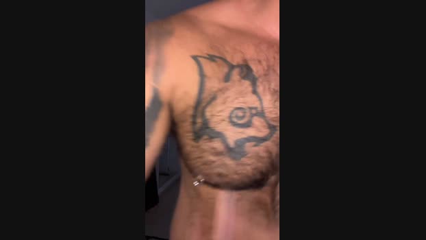 BearSx_  22-08-2023 Recorded Video skinny
