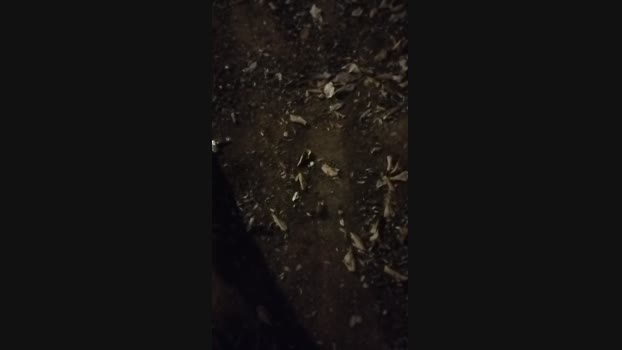 Carlosal22  22-08-2023 Recorded Video Pretty