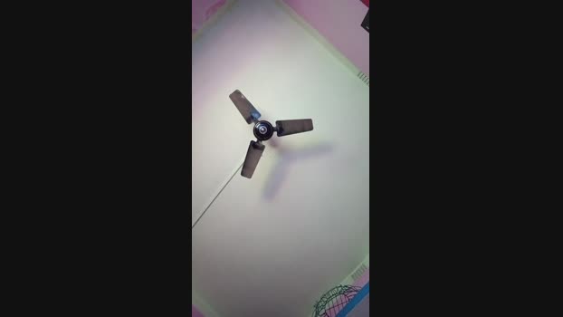 chiranjitho1  23-08-2023 Recorded Video gay