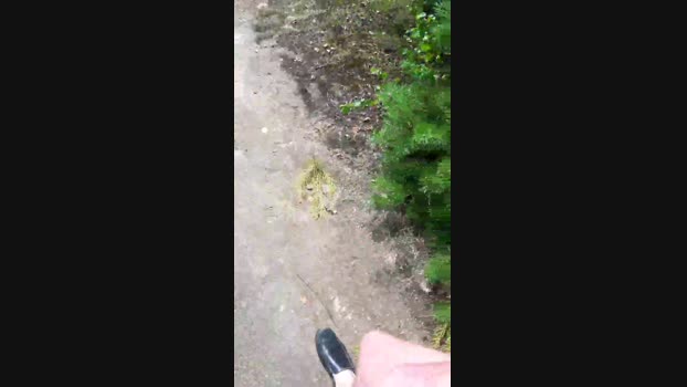 elblover  23-08-2023 Recorded Video naked