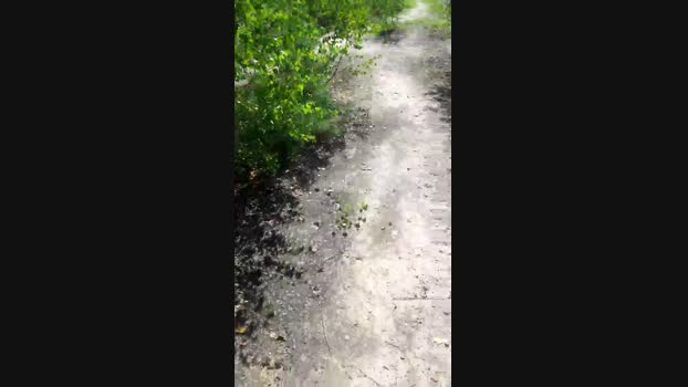 elblover  23-08-2023 Recorded Video hot