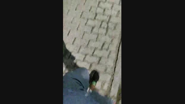 Baixinhobrasil  23-08-2023 Recorded Video fuckface