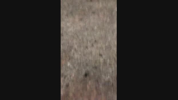 Carlosal22  23-08-2023 Recorded Video amateur