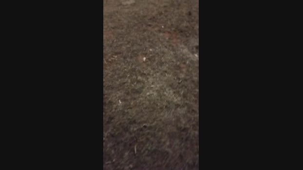 Carlosal22  23-08-2023 Recorded Video lush