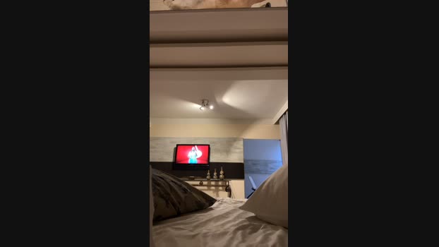 Gatoon  23-08-2023 Recorded Video Naked