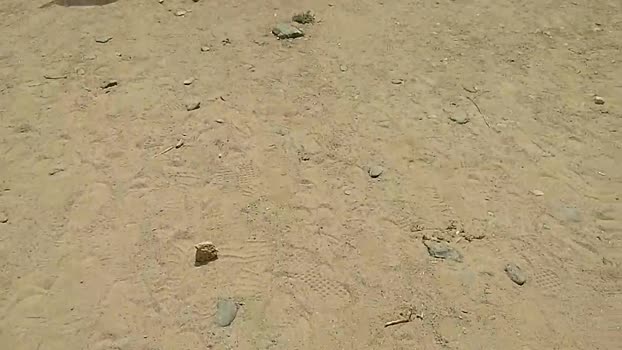 Pabloysebas  24-08-2023 Recorded Video fingers