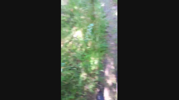 elblover  24-08-2023 Recorded Video bigcock