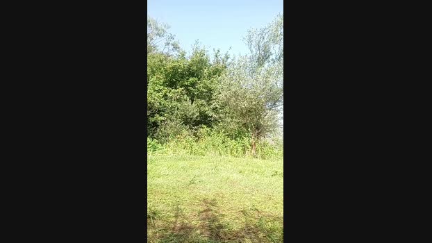 hmefroumyahooc5  23-08-2023 Recorded Video Video