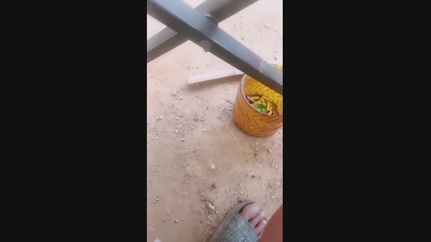 Couplechaudcam