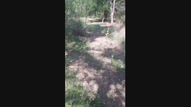 faraon47  25-08-2023 Recorded Video lush