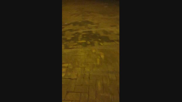 tarcton78  25-08-2023 Recorded Video analsex