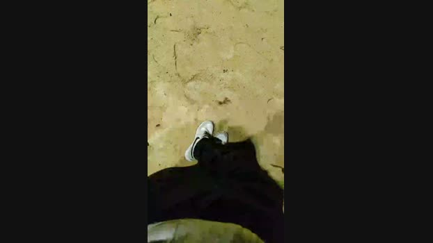 Baixinhobrasil  25-08-2023 Recorded Video lovense