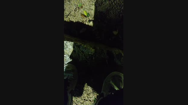 Baixinhobrasil  25-08-2023 Recorded Video hard