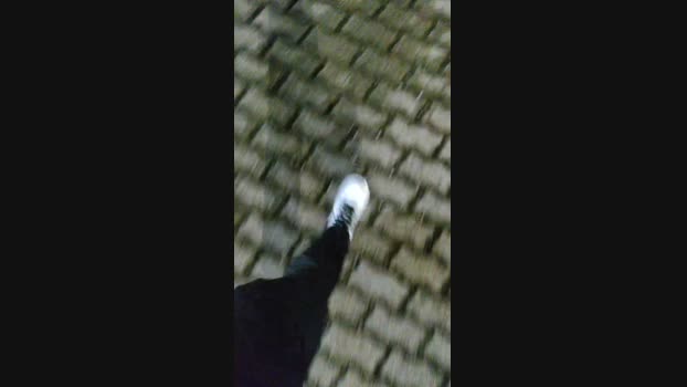 Baixinhobrasil  25-08-2023 Recorded Video bigtoys