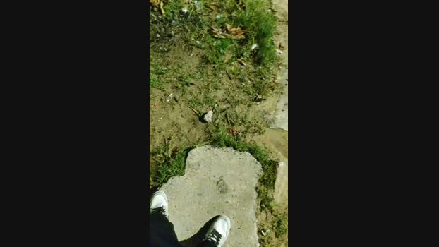 Baixinhobrasil  25-08-2023 Recorded Video squirt