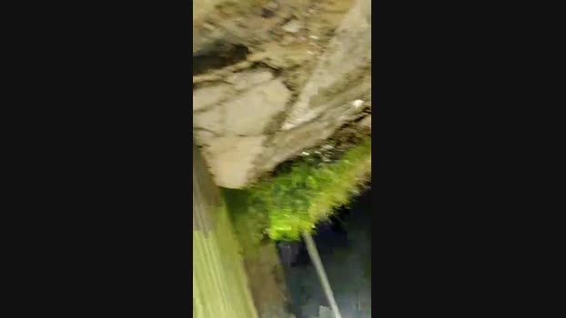 Baixinhobrasil  25-08-2023 Recorded Video legs