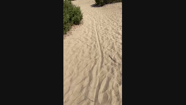 JOREDD  26-08-2023 Recorded Video cute
