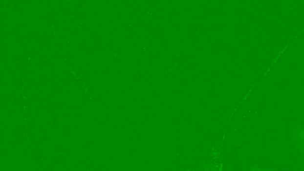 gringookarina  26-08-2023 Recorded Video big
