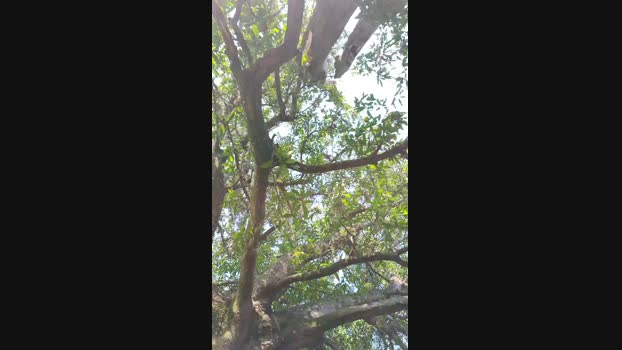 mwmgaara  25-08-2023 Recorded Video fuck