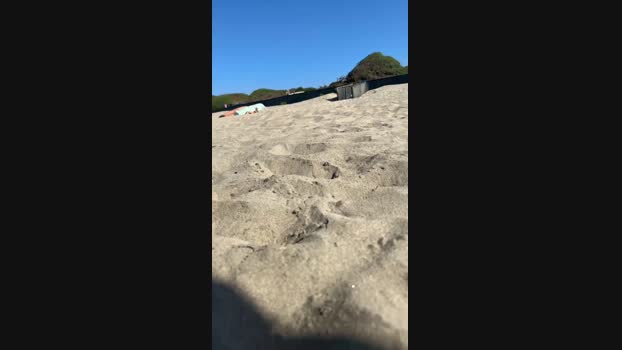 toro370  26-08-2023 Recorded Video toy