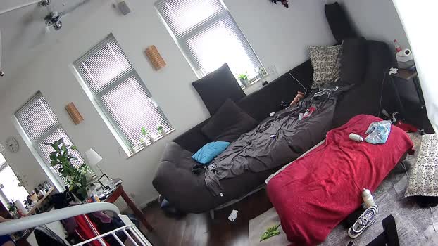 Bartmikeff  26-08-2023 Recorded Video dirty