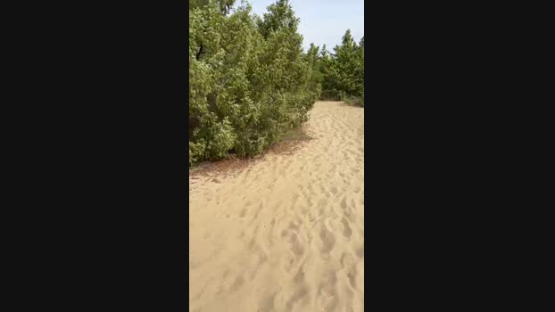 JOREDD  27-08-2023 Recorded Video beauty