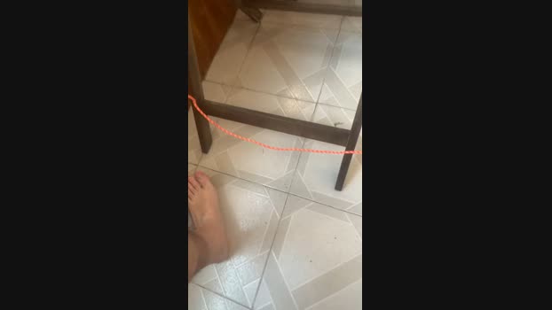 Pollonmario  27-08-2023 Recorded Video bigballs