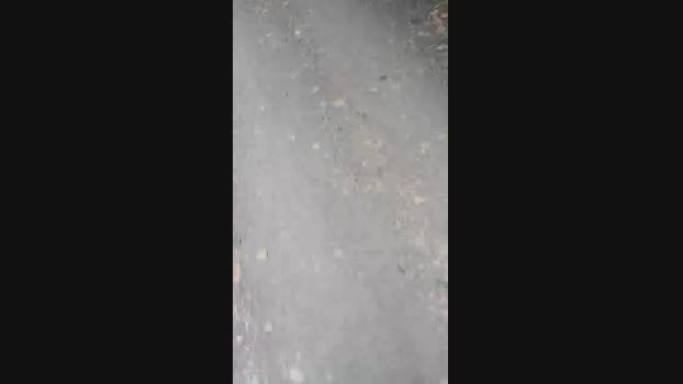 albaniacaserta4  27-08-2023 Recorded Video fuckface