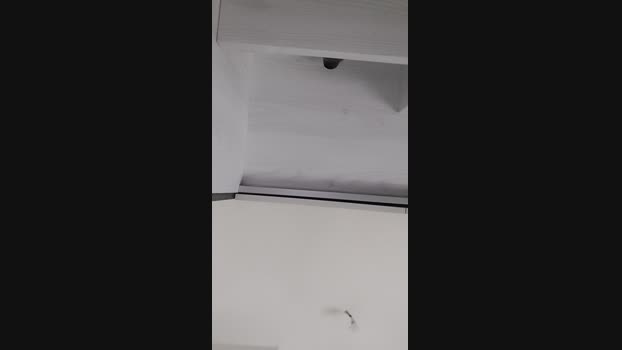 Lurio  27-08-2023 Recorded Video bigballs