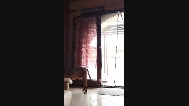 Paquitobaby  28-08-2023 Recorded Video kiss
