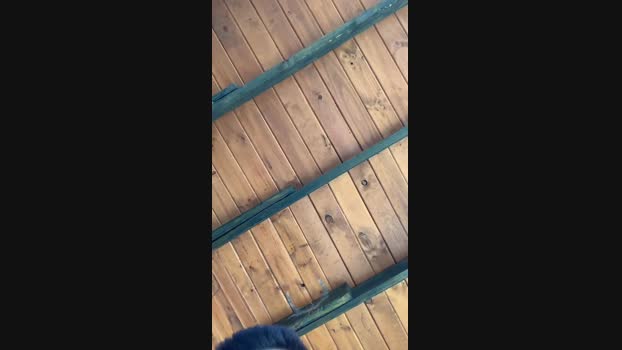 gringookarina  28-08-2023 Recorded Video sexymale