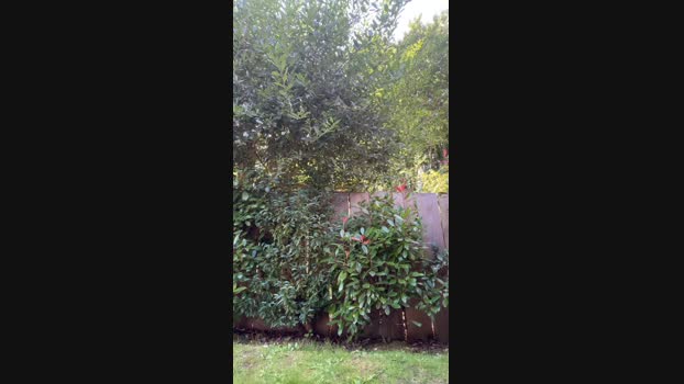 slutharry  27-08-2023 Recorded Video bigcock