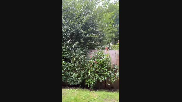 slutharry  27-08-2023 Recorded Video gay