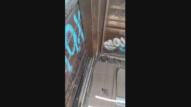 6Q87  29-08-2023 Recorded Video show