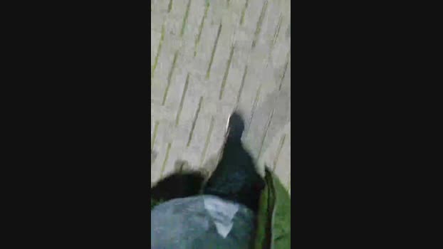 Baixinhobrasil  28-08-2023 Recorded Video jerkoff